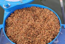 麝香红鲫，最经典的莫过于钓鱼王老三样