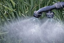 尿素能不能作叶面肥喷施，尿素只含有一种氮元素