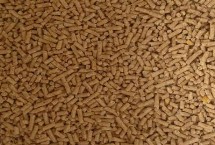 如何给鱼投喂饲料，投喂量要适量