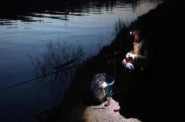 晚上钓鱼用蚯蚓好还是用饵好，用蚯蚓更好