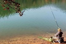 水库钓草鱼怎么选钓位及水深，使用蚯蚓等荤饵的效果较好