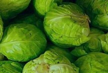 包菜可以保存多久，放入冰箱冷藏室可以保存一个多月