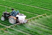 能不能把尿素当叶子菜的叶面肥用，可以用但很少有人这样用