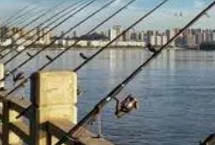 7米2的鱼竿价格，主线长度在3米左右