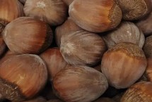 坚果有哪些品种，不同类型的坚果产地不同