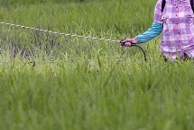 氯青菊脂能在家里喷吗，药效时间长不适合在家喷