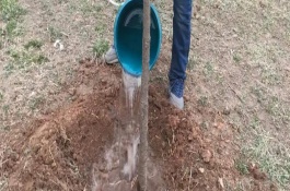 如何正确保护树木，天气干旱时再浇灌、气温过高要喷水降温