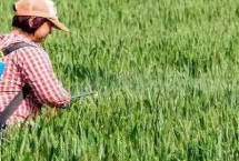 草铵膦对土壤有危害吗，成本、类型、见效时间等均不同