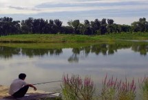 夏天钓鱼应该钓底还是钓浮，可选谷香味、麸香味、酒香味饵料等