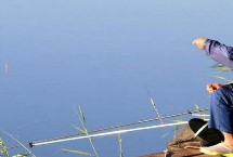 钓草鱼一般离底多高合适，活的蚯蚓效果好