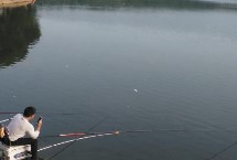 水库钓鲤鱼实用饵料，惊蛰至春分前可适当钓近、钓浅