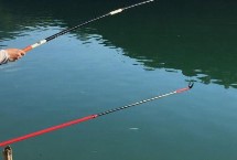 3号溪流钩适合钓鲫鱼吗，2两至3两的适合