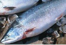 三文鱼的加工方法，属于世界名贵鱼类