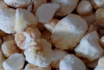 半夏的种植技术，市场售价一斤大约需要35-50元左右