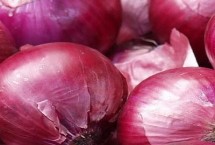 洋葱紫皮、黄皮、白皮有何区别，主产于山东、河南、云南等省份