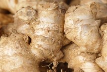 生姜的产地，我国东部、西南部等地区都有种植