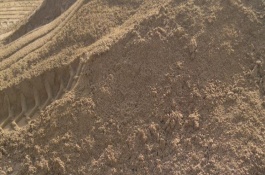 沙子可以种植物吗，价格在100-300元/方