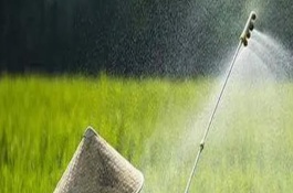 二氯喹啉酸杀什么草，与杀草丹等药物混用可扩大除草谱