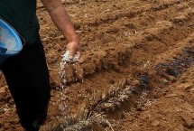 三个19和三个20的大量元素水溶肥的区别，区别是氮磷钾的含量的差异