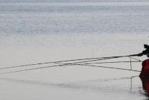 5号金袖钩能钓小鲫鱼吗，颜色是主要区分方法