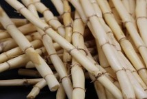 芦根的亩产量，年产量多为3000-5000斤