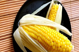 谷育178玉米栽培技术要点，高抗大斑病