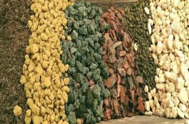 多肉土壤怎么配制，可以选用泥炭土、珍珠岩、蛭石等混合配制