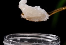 雪脂莲蜜的蜜源植物，零售价在60-80元左右一斤