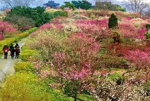 寒食节就是清明节吗，清明节每年时间是不固定的