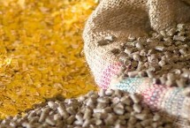 饲料需要检测哪些指标，常见以下13类