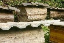 合理的中蜂箱有哪些，最佳尺寸取决于蜂脾数量