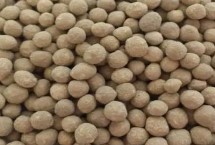 哪种元素对水稻有特殊作用，硅元素具有特殊作用