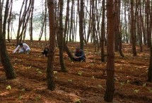 林下种植国家有什么补助政策，不同地区的政策不同