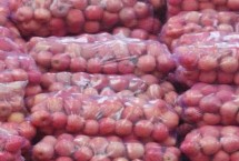 将苹果贮藏在零下6℃的环境中是否会冻坏，温度过低会破坏细胞结构