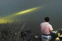 窝料，不同鱼种适合不同饵料