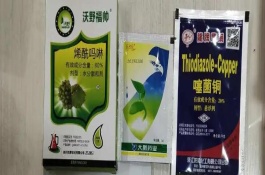 噻菌铜不能和什么农药混用，可有效防治水稻细菌性条斑病、白叶枯病等