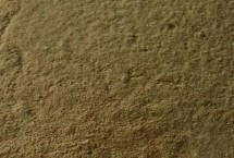 枯草芽胞杆菌简介，优质的在有效期内不会失效