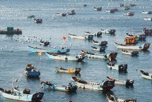 舟山渔场建在上升流还是下降流，寒流与暖流交汇鱼群较为集中