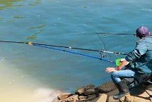 台钓竿和溪流竿哪个好用，在黑坑中抢鱼更适合使用台钓竿