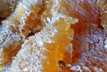 蜂蜜涂脸后要不要洗掉，变干后的蜂蜜容易吸收皮肤水分