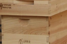 合理的中蜂箱有哪些，标准箱能容纳10个巢框