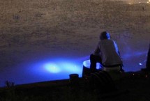 冬季海竿钓鲢鳙最佳深度是多少，气温太低非常难开口