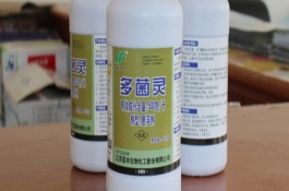 使用多菌灵的注意事项，配比要根据农作物的品种来确定