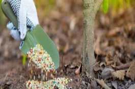 怎么防止拮抗作用的产生，补充的养分造成化学反应导致无法吸收