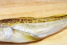 雷鱼的价格，产地、品质不同而价格不同