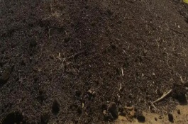 如何判断农家肥是否腐熟，腐熟温度以70-80℃为宜