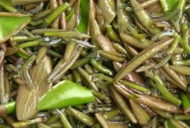 合理密植，选择在向阳的地方种植