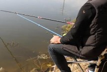 冬季可以钓什么种类的鱼，小雨好钓大雨难钓