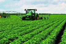 川豆155大豆栽培技术要点，花荚期注意防治豆荚螟及鼠害