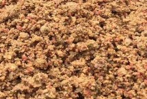 散炮饵料适合野钓吗，可以但也要分情况调整使用方法